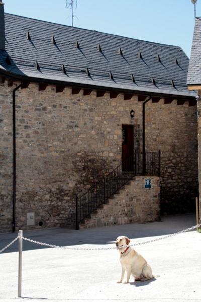 Hostal Rural Casa Parda Tramacastilla de Tena Exterior foto